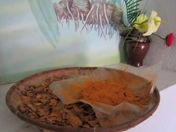 Visite de la petite cousine !